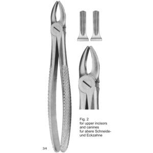 Tooth Extracting Forceps (Eng Pattern)