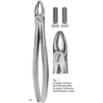 Tooth Extracting Forceps (Eng Pattern)