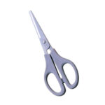 Plastic Handle Scissors