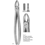 Tooth Extracting Forceps (Eng Pattern)