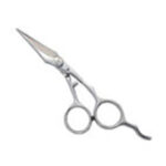 Professional Hair Cutting Scissor