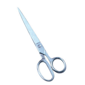 Taylor Scissors Sharp Points