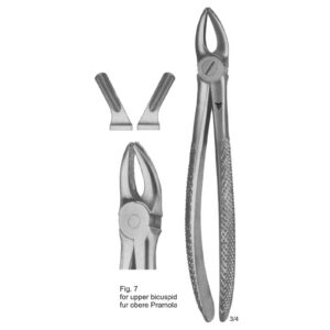 Tooth Extracting Forceps (Eng Pattern)