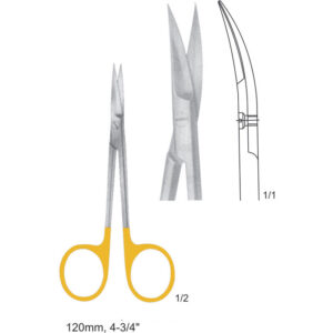 Dissecting Scissors